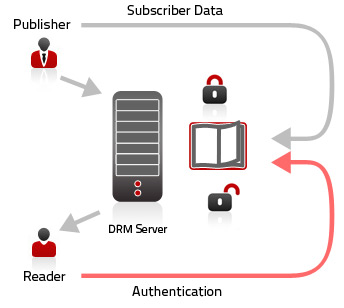 DRM workflow